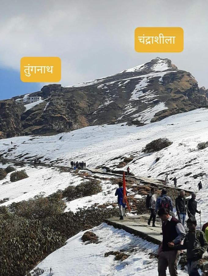 Pandava'S Cafe & Stay Chopta Kültér fotó